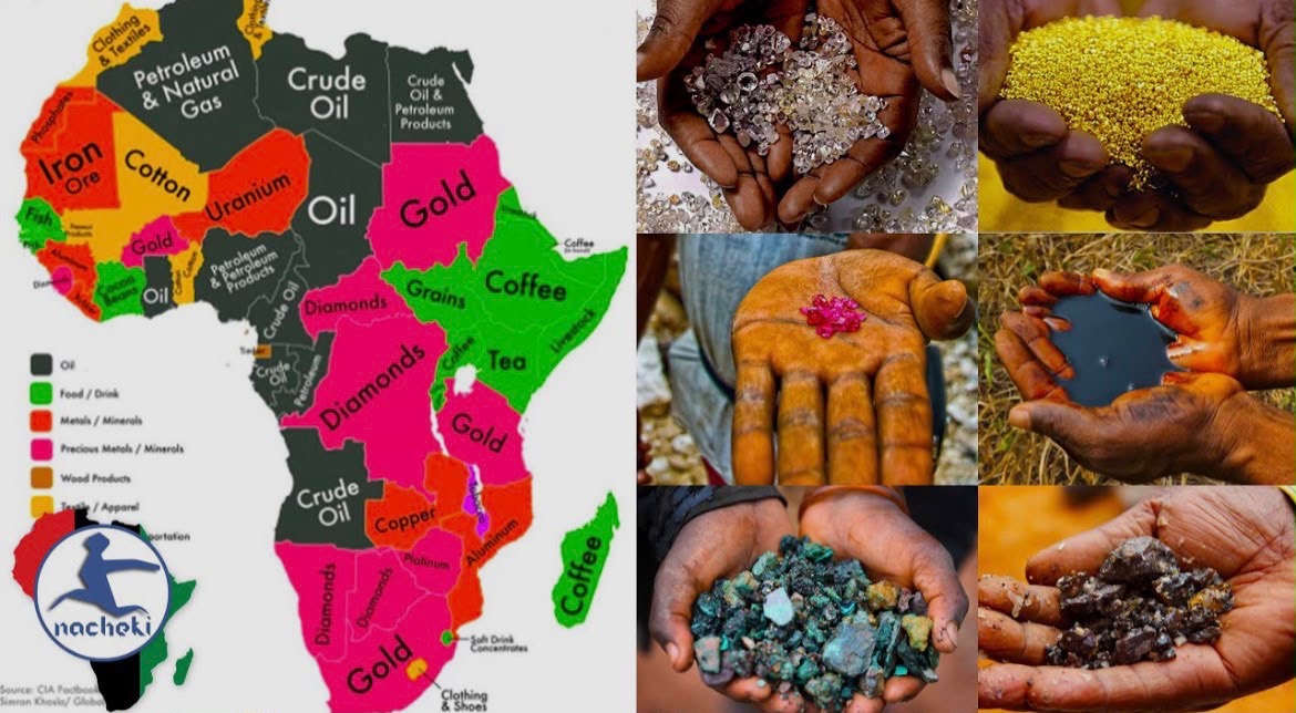 Africa Has the Minerals the World Needs Now It Wants More of the Value