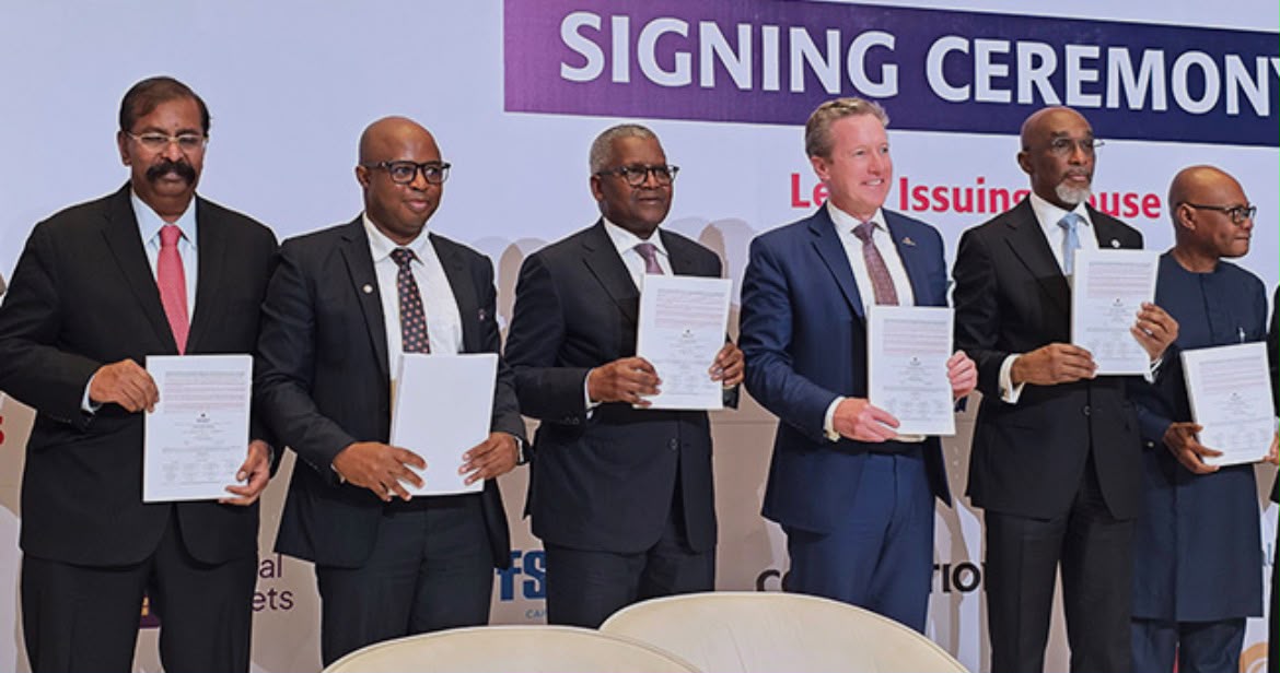 Dangote IPO Explained What Nigerians Need to Know Before Buying a Share