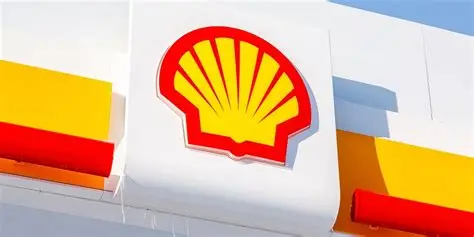 Shell.webp